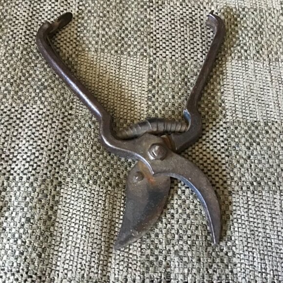 Vintage Shears - Shrubs - Branches - Weeds - Farm Primitive - Working Order - Picture 6 of 7